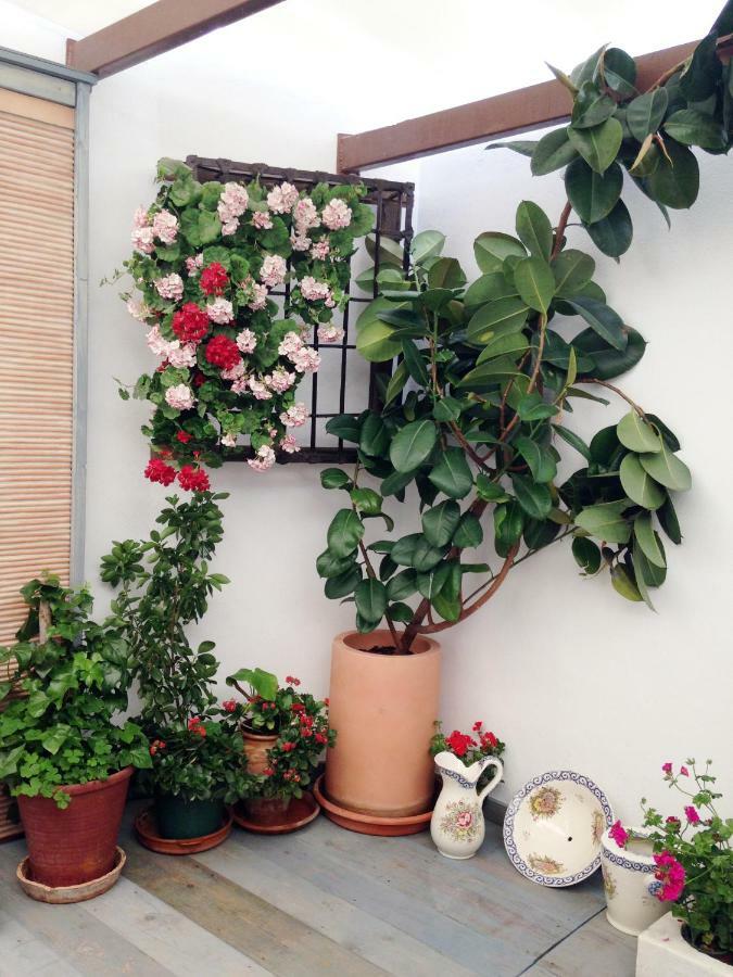 Patio San Lorenzo Córdoba Eksteriør bilde